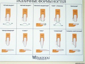 Основные формы ногтей